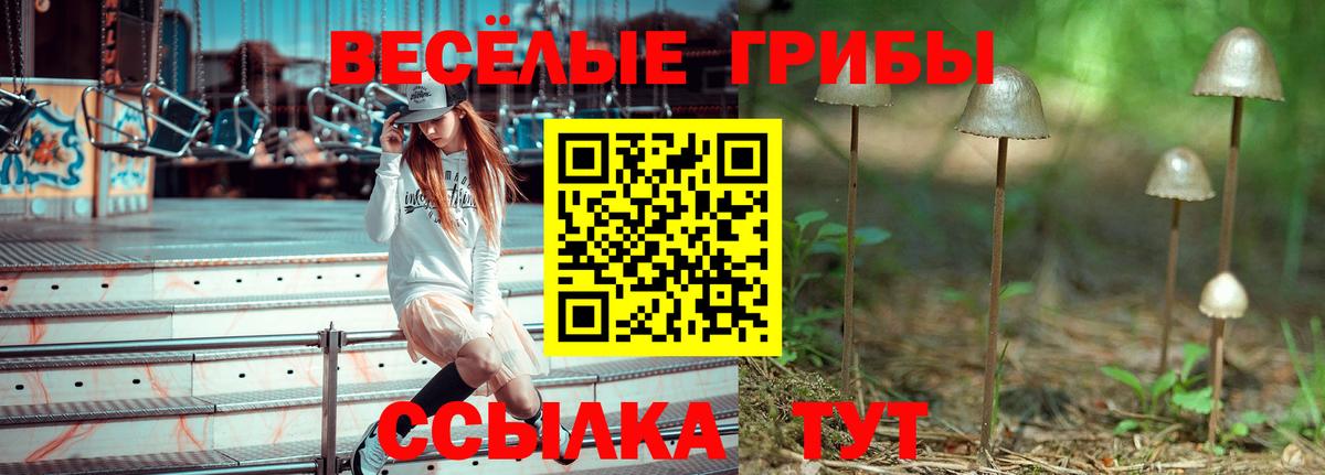 Псилоцибиновые грибы Psilocybine cubensis  Вход с VPN  где можно купить   Южно-Сахалинск 